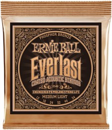 ERNIE BALL 2546 Everlast Coated Phosphor Bronze Medium Light 12-54 Струны для акустической гитары P02546-2