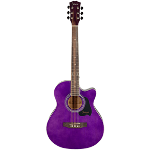 Акустическая гитара Shinobi HB403A/TPP