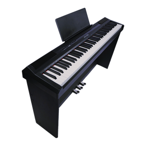 Цифровое пианино Antares D-300