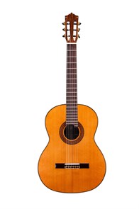Классическая гитара Martinez MC-88C