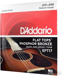 D'ADDARIO EFT 17 - Струны для акустической гитары EFT17-2