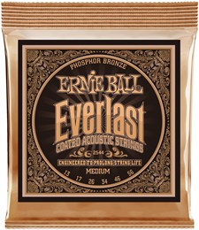 ERNIE BALL 2544 Everlast Coated Phosphor Bronze Medium 13-56 - Струны для акустической гитары P02544-1